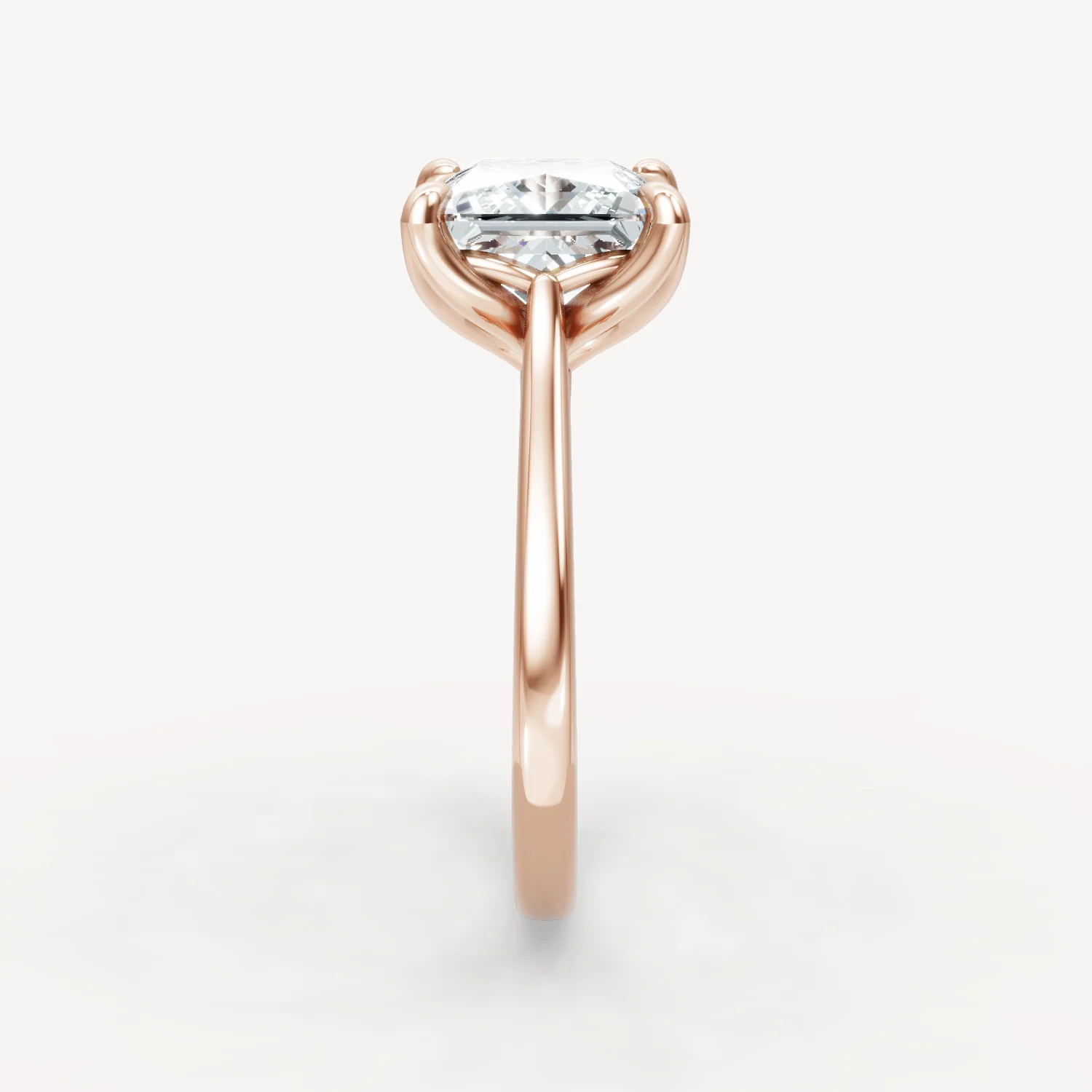 Cathedral Tulip - Princess - Image 10