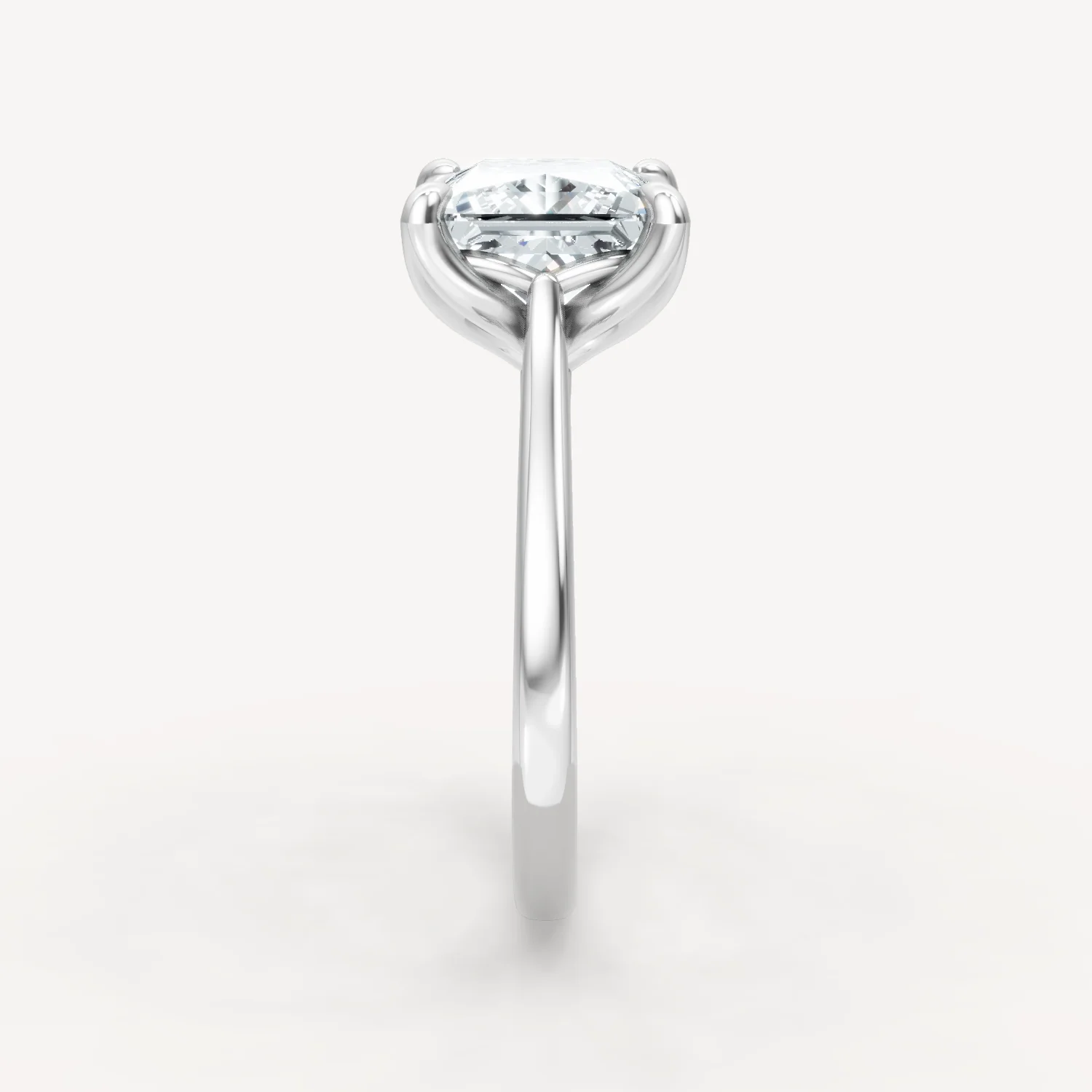 Cathedral Tulip - Princess - Image 6