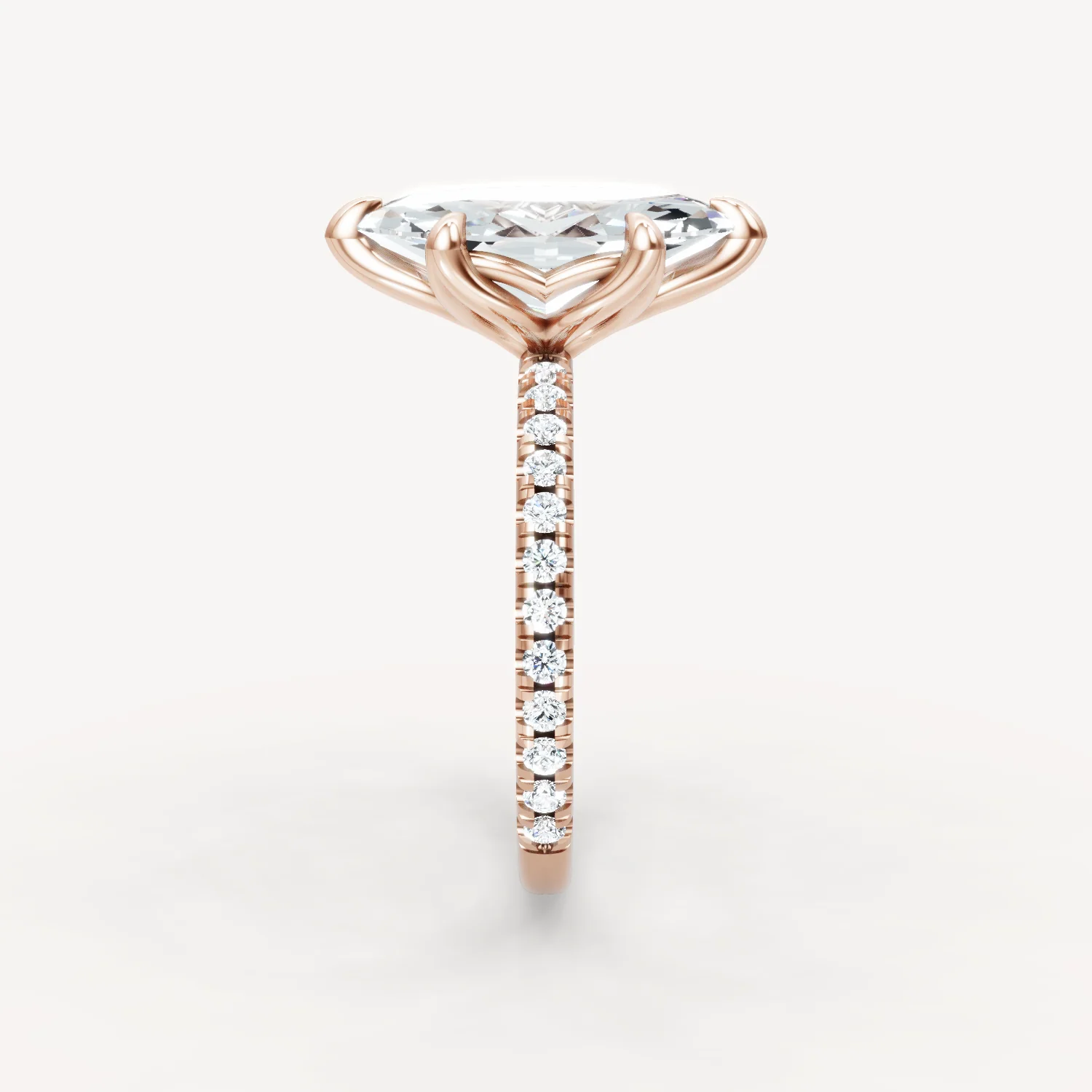 Luxe Tulip - Marquise - Image 10