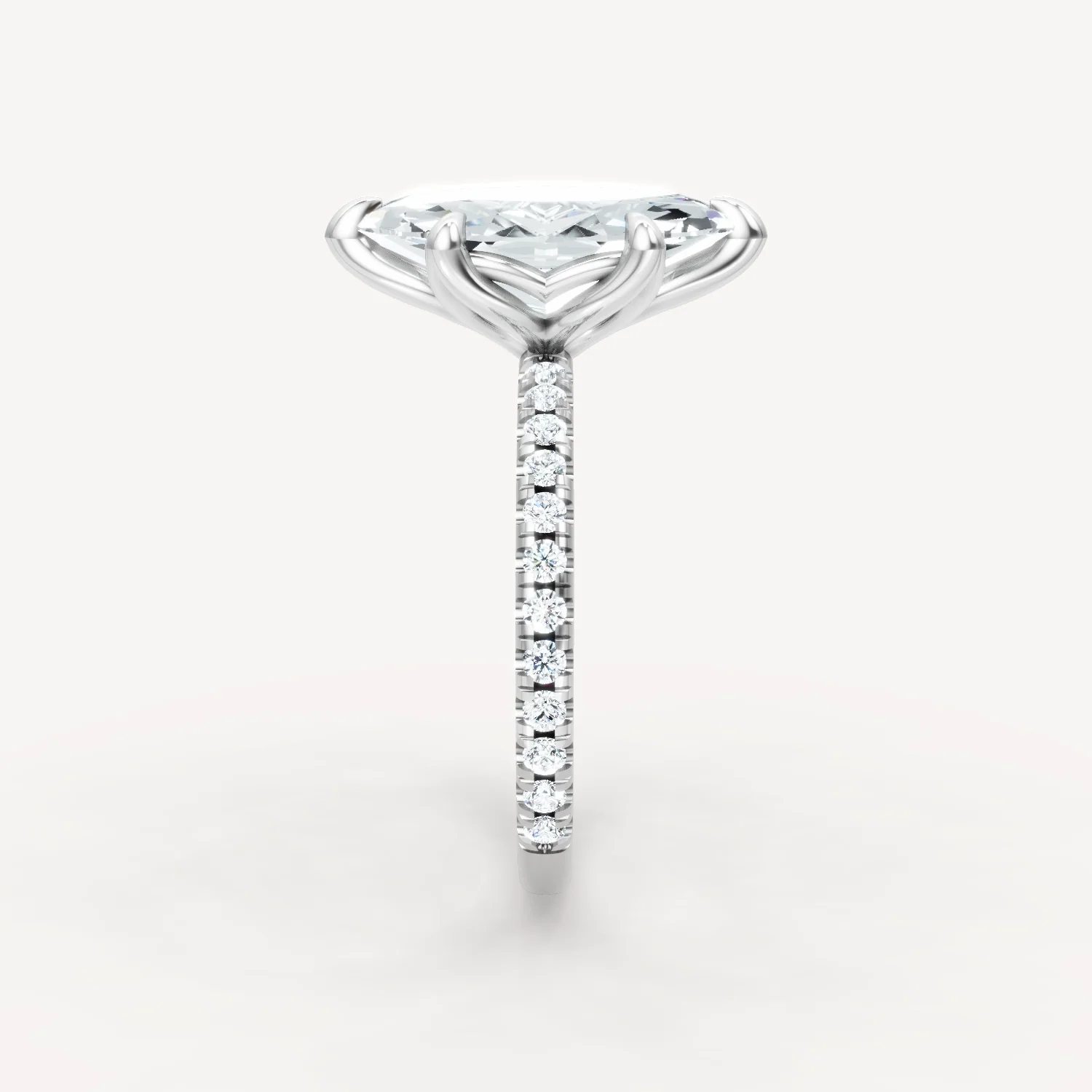 Luxe Tulip - Marquise - Image 6